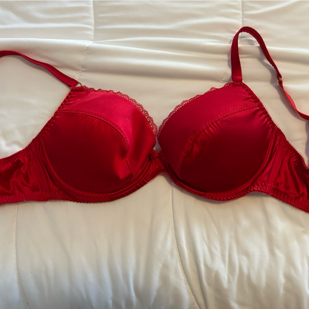 AGENT PROVOCATEUR Lacy Red Women's Bra - 34DD